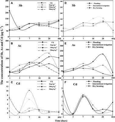 Risks for Using FeCl3 Under a Submerged Condition, and Different Water Management to Reduce Uptake of Antimony and Cadmium in a Rice Plant